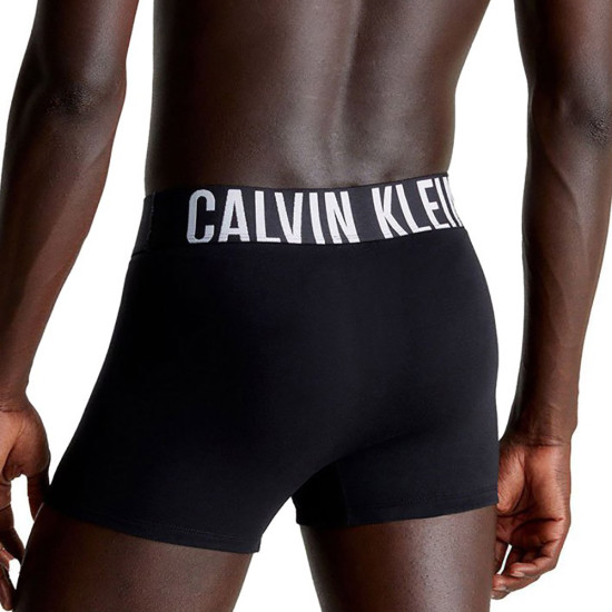 Calvin Klein Ανδρικό εσώρουχο Intense Power-3 Pack Trunks